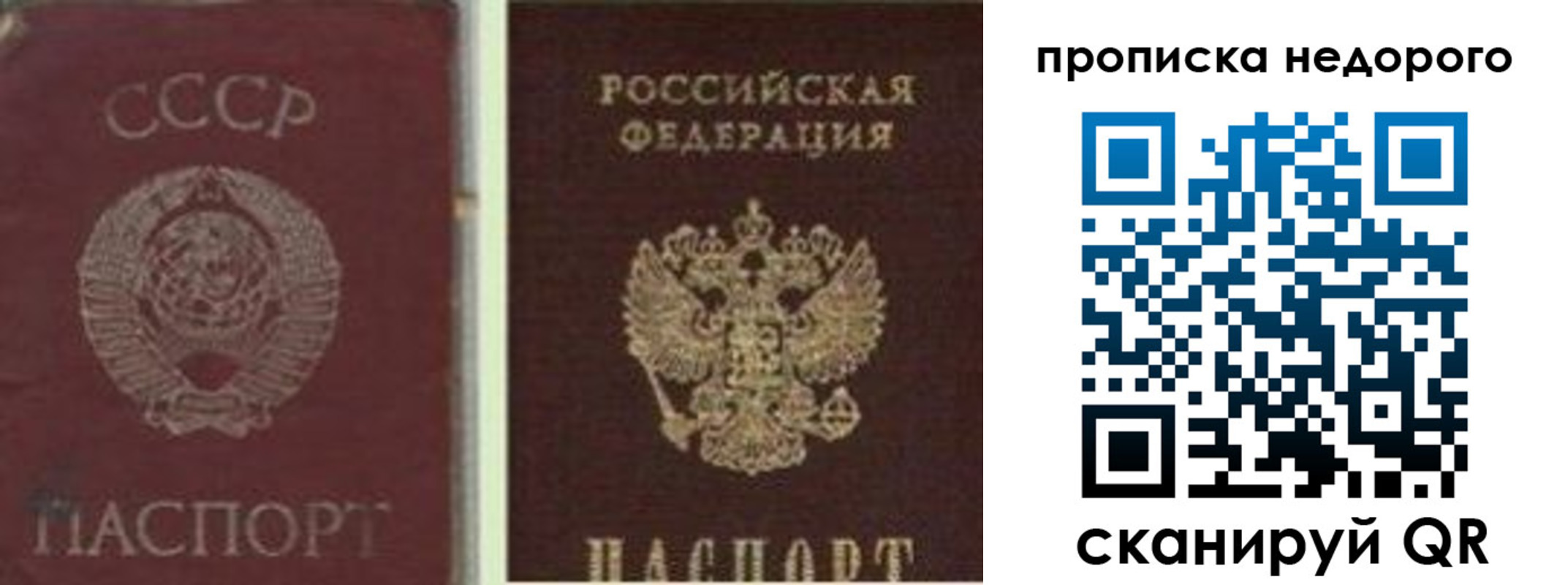 временная регистрация поиск в Выборге